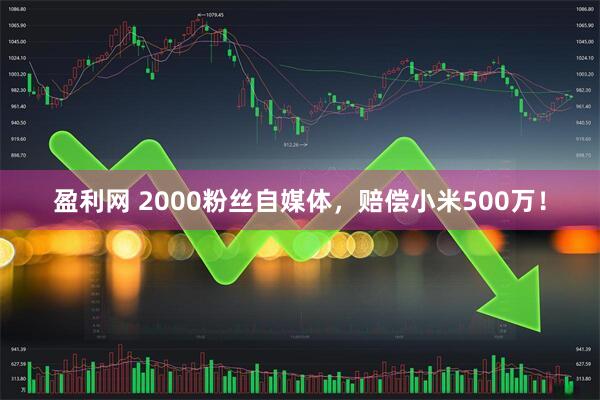 盈利网 2000粉丝自媒体，赔偿小米500万！